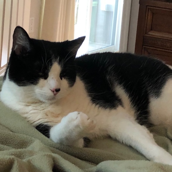 Meet your Posher, Esther - Picture 2 of 2